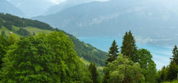 Svizzera: a spasso nella natura per un’estate detox e antistress